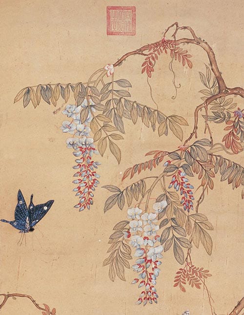 Butterfly and Chinese Wisteria Flowers by Xu Xi,Kacho-ga