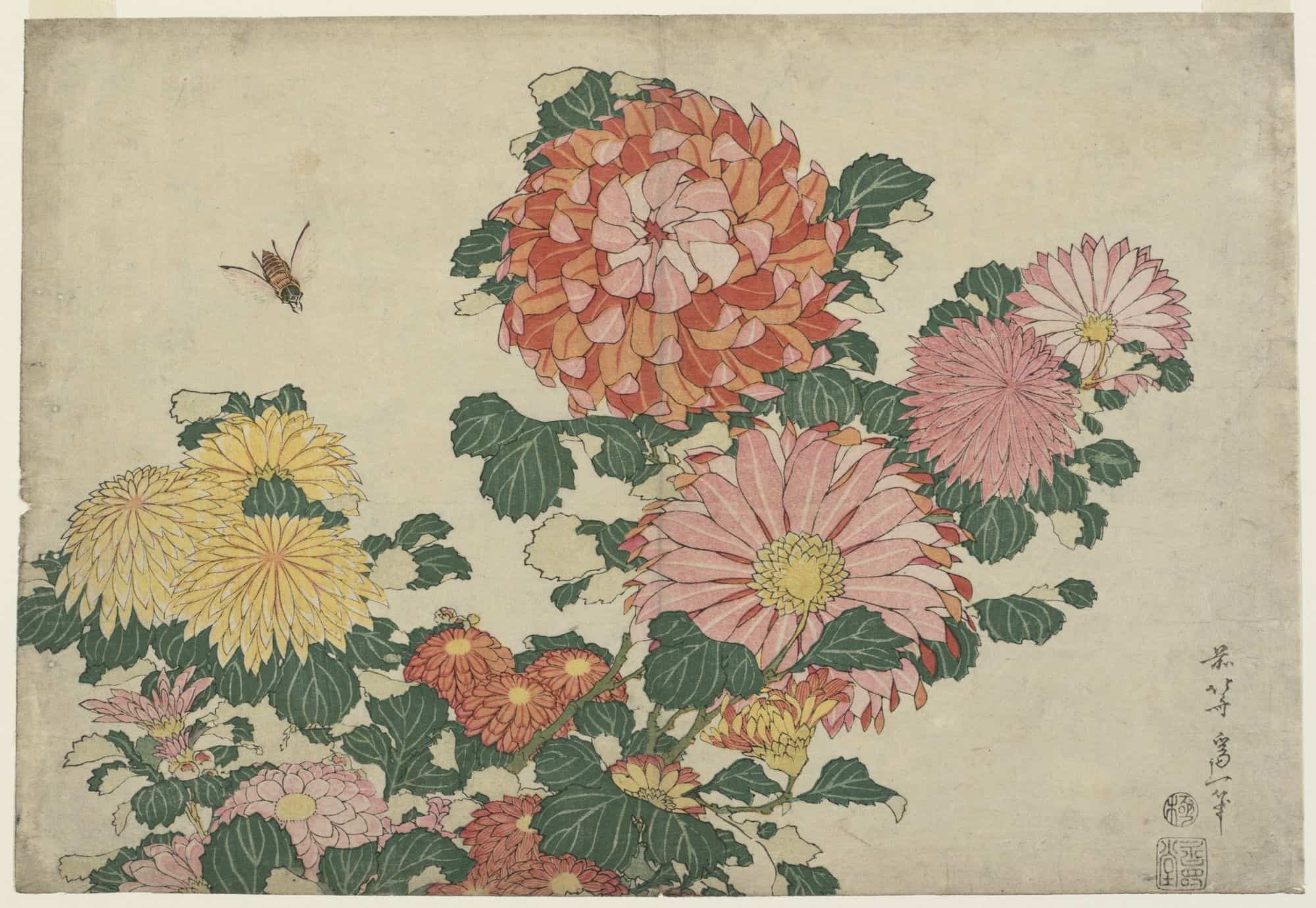 Chrysanthemums and Horsefly by hokusai, kacho-ga