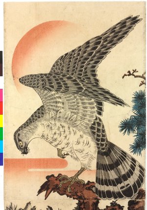 Hawk and Nestlings in Pine Tree by utagawa kuniyoshi