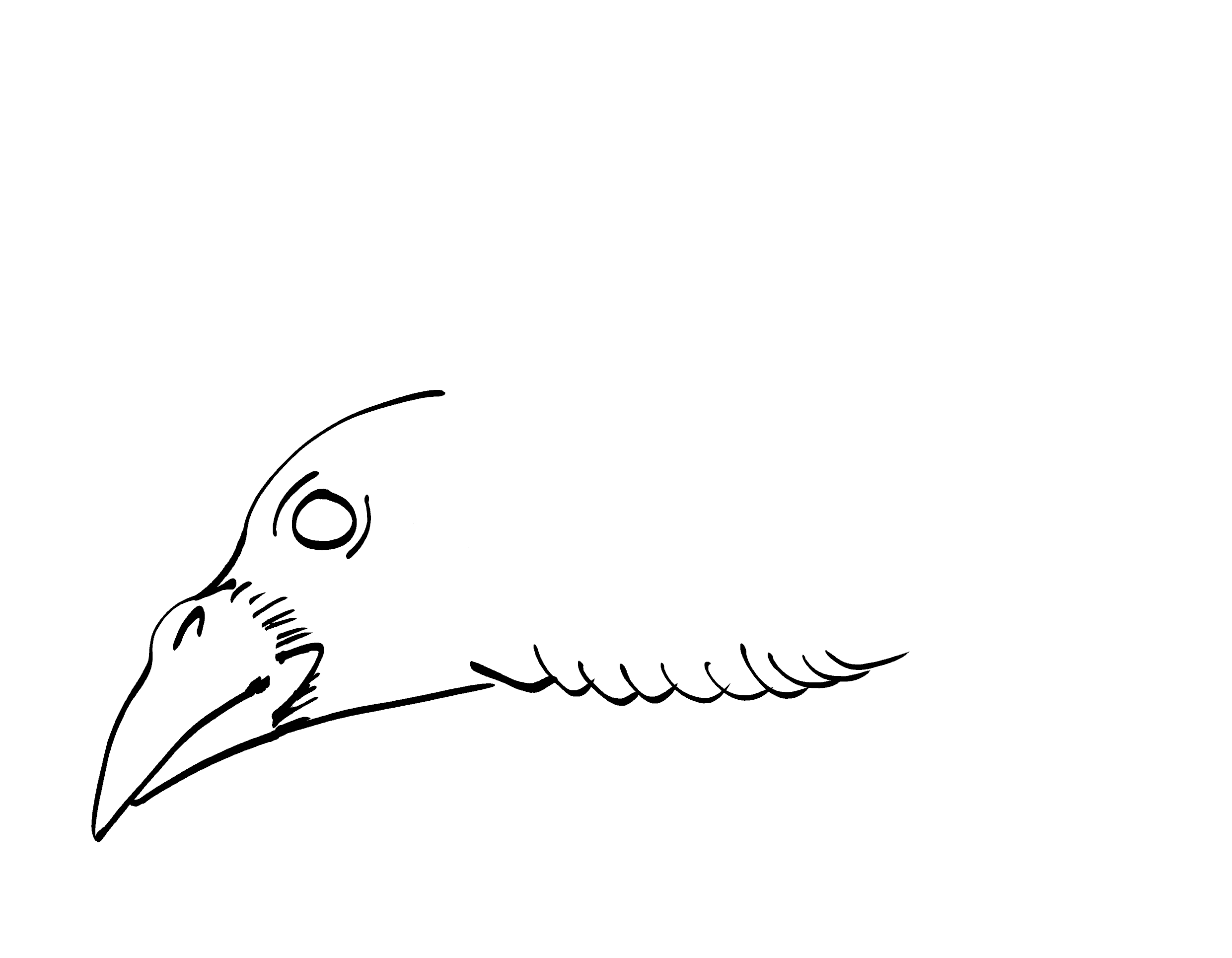 How to Draw Crow Step by Step : r/Brawlstars