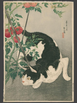 Black Cat And Tomato Plant (1931) by Shotei Takahashi - ukiyo-e - kacho-ga
