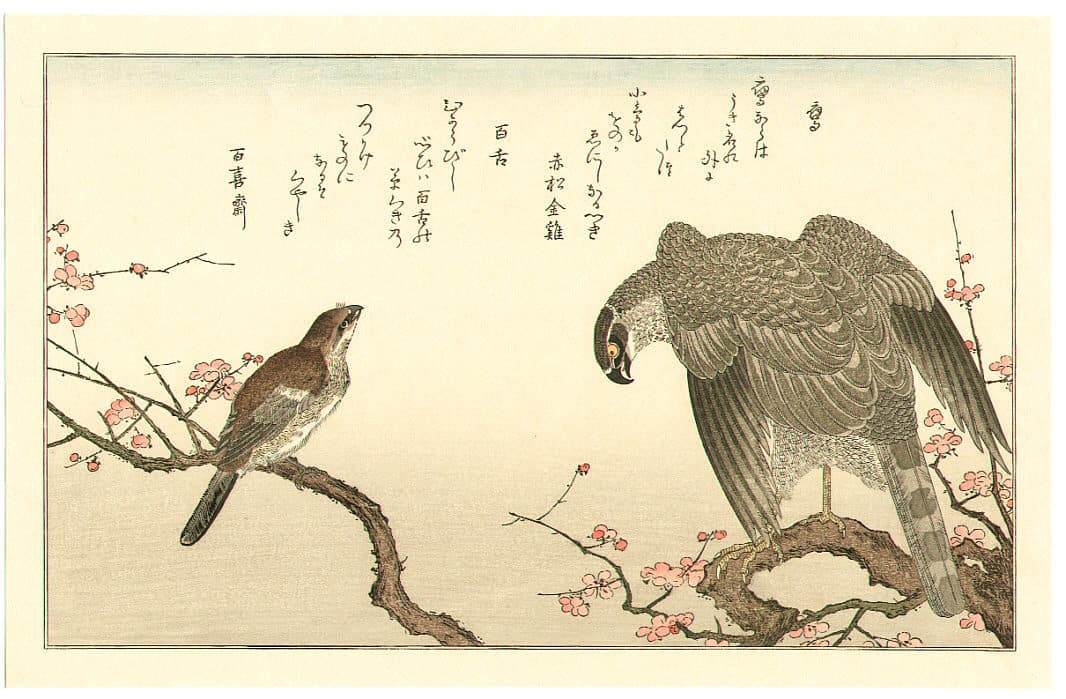 Hawk and Shrike, Kitagawa Utamaro, c. 1790,kacho-e