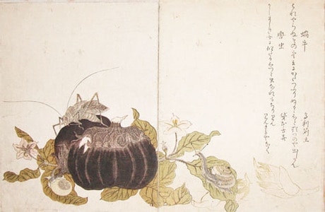 Land Snail and Giant Katydid, Kitagawa Utamaro, c.1788, kacho-e
