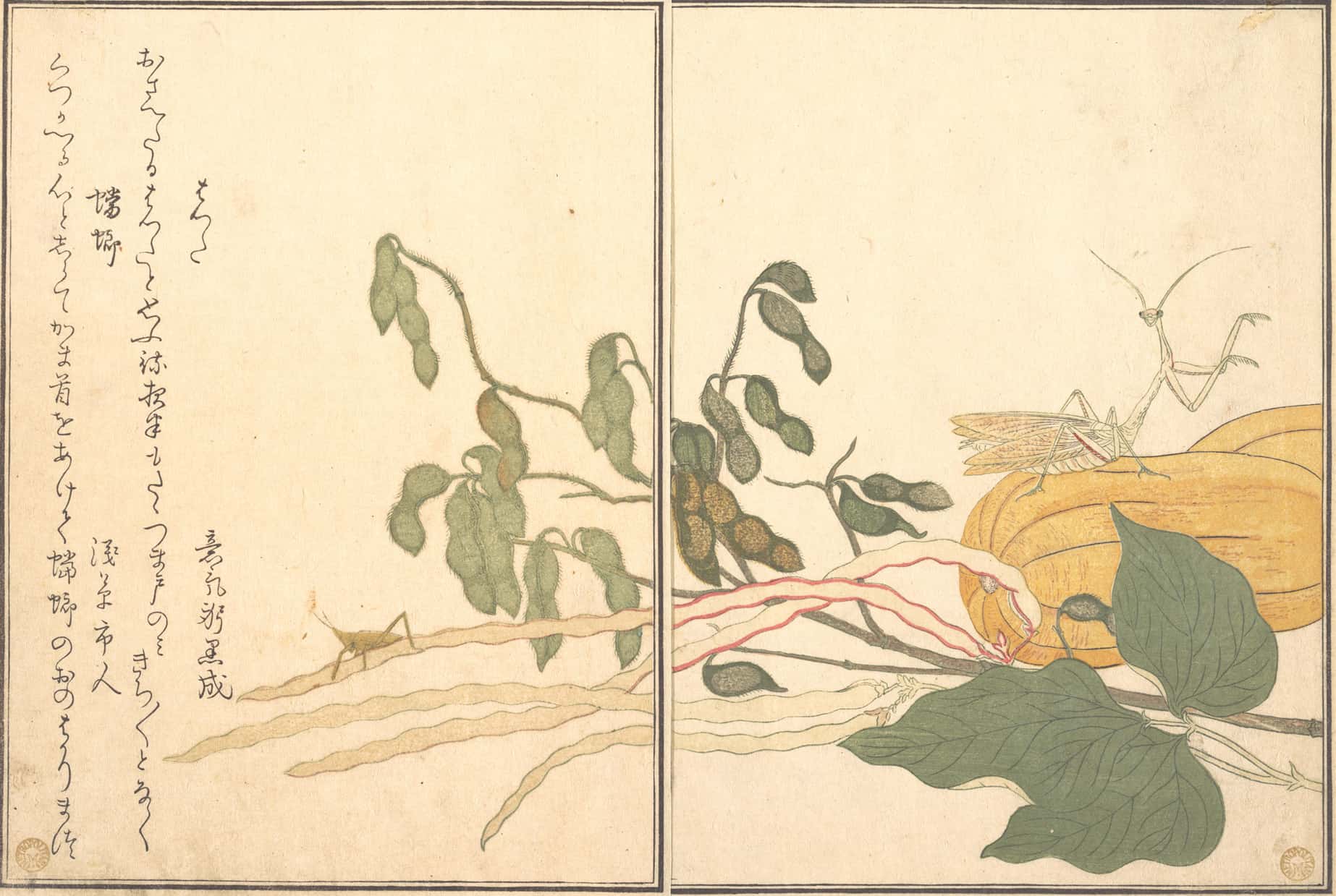 Praying Mantis and Cone-headed Grasshopper, Kitagawa Utamaro, c.1788,kacho-e